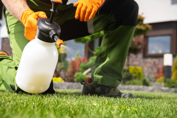  George West, TX Pest Control Pros
