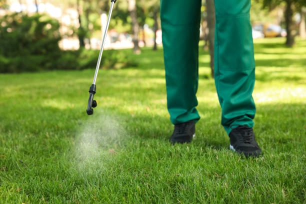 Best Bed Bug Extermination  in George West, TX
