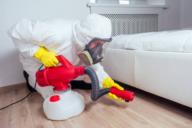 Best Rat Extermination Near Me  in George West, TX