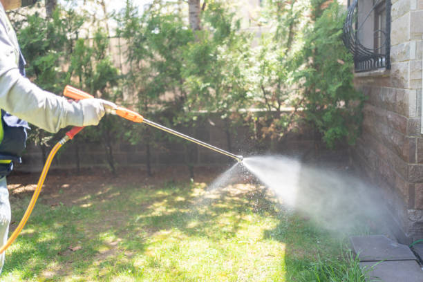 Best Flea Control Services  in George West, TX