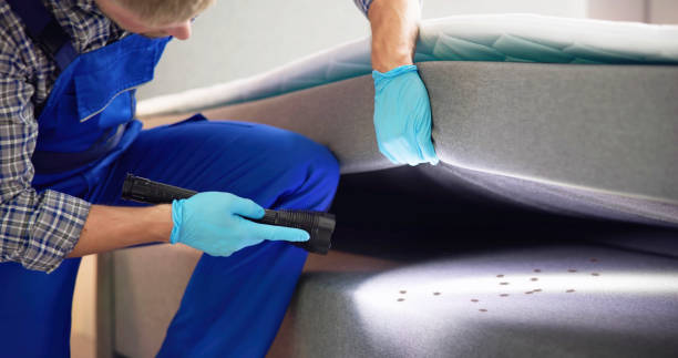 Best Best Pest Control Companies  in George West, TX