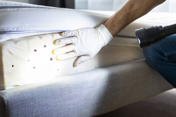 Best Wildlife Control Services  in George West, TX