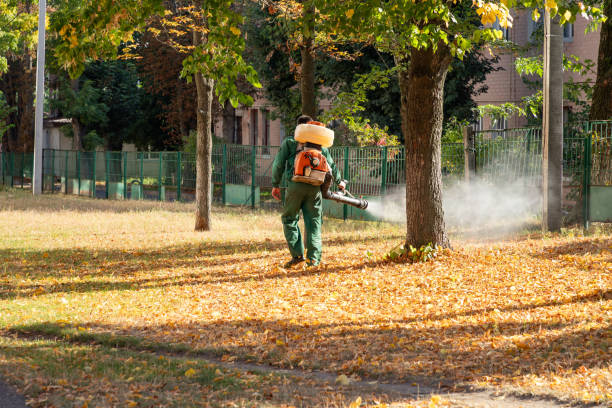 Best Bed Bug Extermination  in George West, TX
